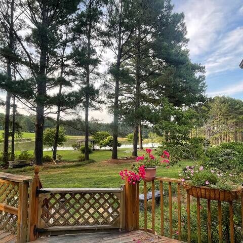 Front lawn and pine backdrop